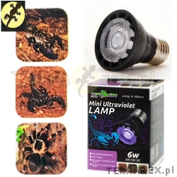 lampa LED + UV Repti Zoo skorpiony, ptaszniki